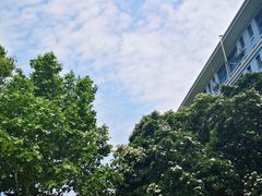 -鞠氏黑芝麻糊(水塔店)