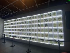 -广东中医药博物馆