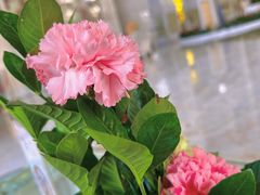 -临沂华盛江泉城大酒店