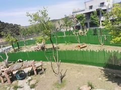 -沈阳森林动物园