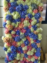 -戛纳印象摄影(潮拍定制馆)