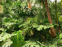 -郑州植物园
