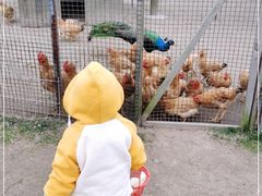 -前小桔亲子创意农场·草莓采摘·露营烧烤