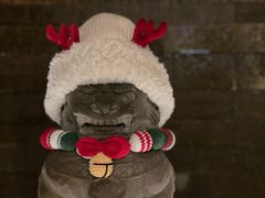 -丽晶轩中餐厅(重庆丽晶酒店)