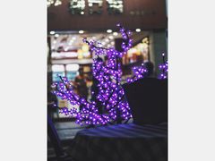 -太平馆西餐厅(北京路店)