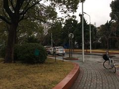 -复旦大学光华楼