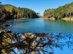 -四明山国家森林公园