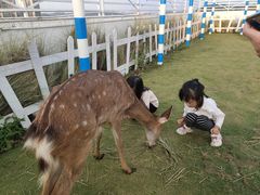 -Blue Concept Cafe&Farm·關於藍