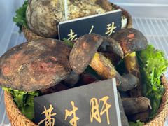 -爱膳菌锅锅(阳南店)