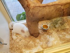 -龙猫仔乐园(惠福东路店)