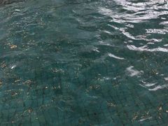 -上海浦东嘉里大酒店
