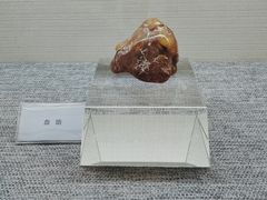 -抚顺煤矿博物馆