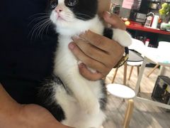 -SAH健身私教工作室(紫东店)