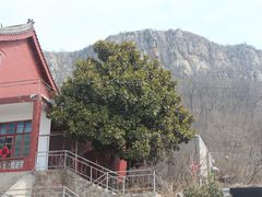 -青檀寺景区