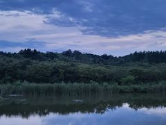 -天目湖涵田半山温泉