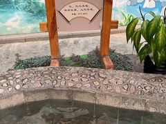 -兴芮温泉度假区