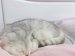 -联合动物医院(光谷诊疗中心)
