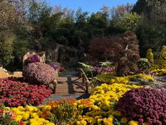 -杭州植物园
