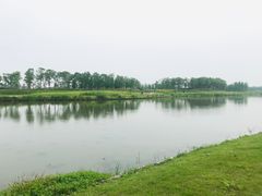 -春花秋色城市公园