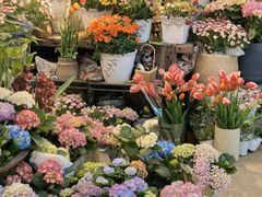 -双季花艺园艺市场(浦东店)