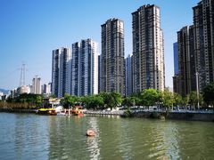 -光明港公园