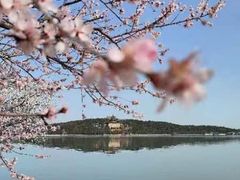 -颐和园