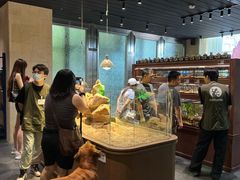 -帕帕拉兹宠物(亚洲旗舰店)