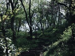 -南京市江宁方山