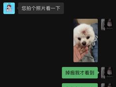 -瑞鹏宠物医院·骨科·猫科·内科(第一中心)