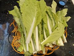 -草墩罗非鱼庄•野生菌•腊排骨(七星街上段店)