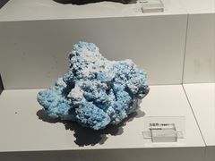 -重庆自然博物馆(新馆)