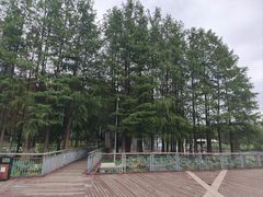 -月湖风景区