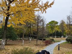 -白塘生态植物园