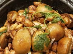 鲍鱼仔炖鸡-旺顺阁海鲜广场(亚运村店)