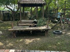 -上海野生动物园