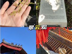 -沂蒙山旅游区云蒙景区(蒙山国家森林公园)
