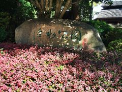 -活水公园