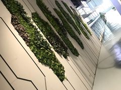 -佐度王子扒房(西城红场店)