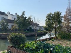 -大莲湖农家乐(青西郊野公园店)