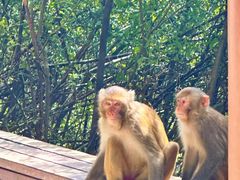 -重庆云阳龙缸景区