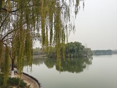 -大兴滨河森林公园