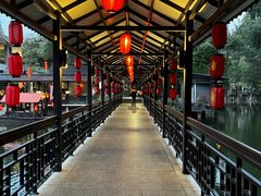 -侨美·唐荔园·40年地道粤菜