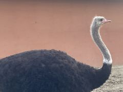 -祥源·阜阳生态乐园