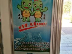-广东惠东海龟国家级自然保护区