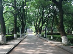 -中南大学-食堂第3食堂