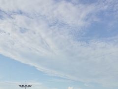 -刘一手重庆火锅(万达广场店)