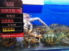 红帝王蟹-船梆煮•蒸汽海鲜·炉火烤肉(五四广场店)