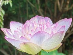 -朝阳公园