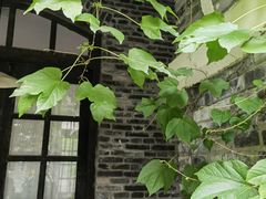 -两江国际影视城