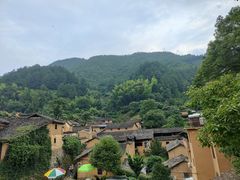 -杨家堂村
